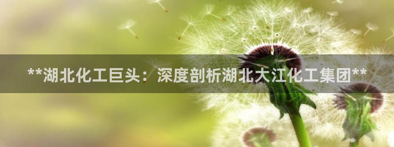 球盟会网页登录：**湖北化工巨头：深度剖析湖北大江化工集团*
