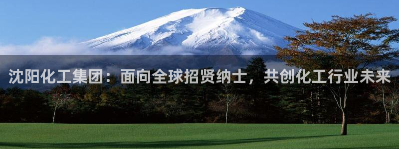 球盟会头号玩家是谁：沈阳化工集团：面向全球招贤纳士，共创化工