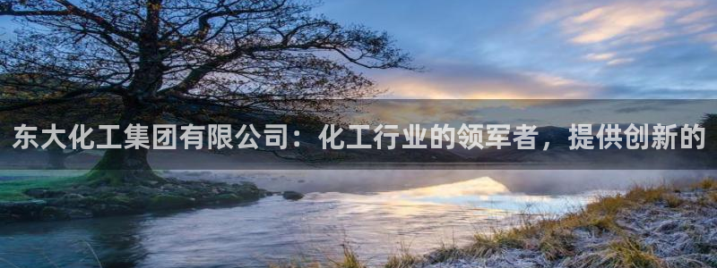 球盟会贴吧：东大化工集团有限公司：化工行业的领军者，提供创新