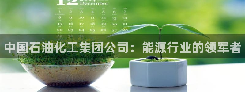 球盟会官方网入口