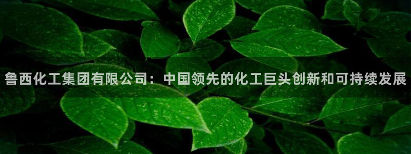 球盟会能退钱吗现在：鲁西化工集团有限公司：中国领先的化工巨头