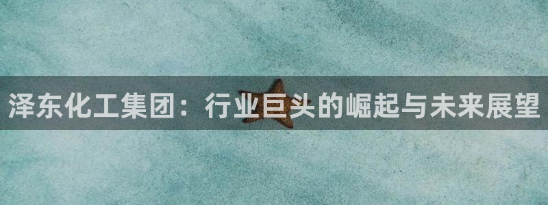 球盟会官方