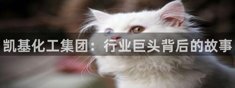 球盟会app最新地址在哪看