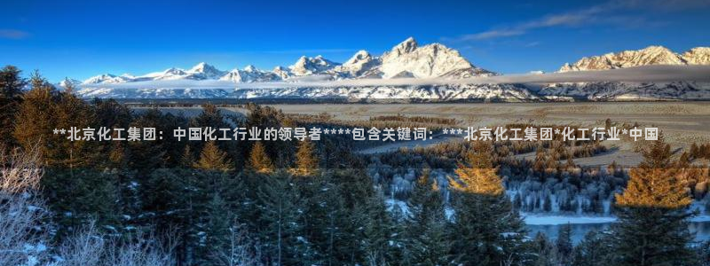 球盟会黑款吗知乎小说：**北京化工集团：中国化工行业的领导者