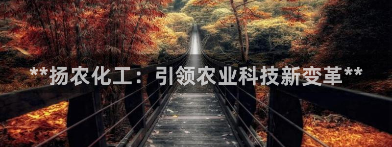 球盟会网址