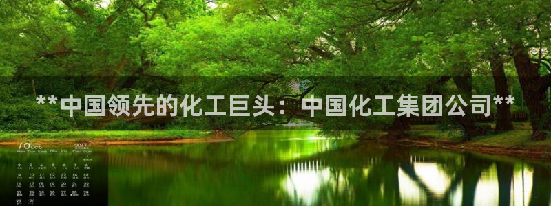 球盟会黑款吗：**中国领先的化工巨头：中国化工集团公司**