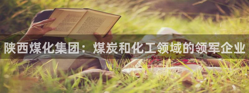 球盟会体育app官方网站