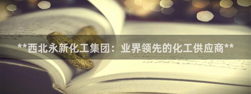 球盟会国际官网
