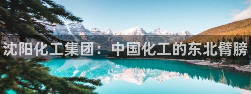 球盟会和中欧会的区别