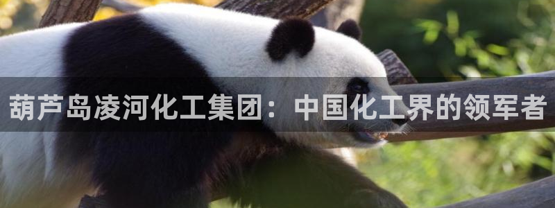球盟会体验金球奖吗