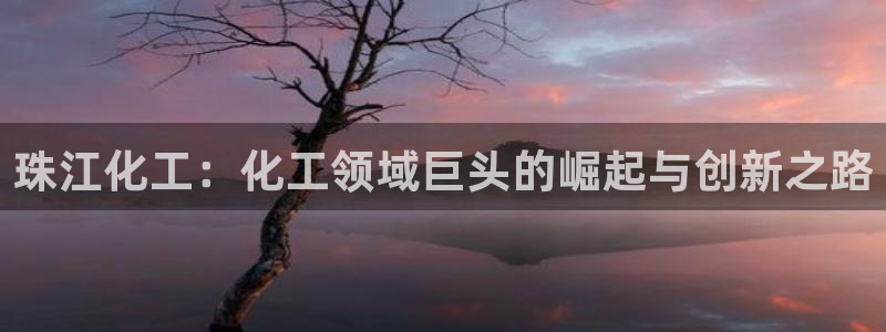 球盟会黑台子吗