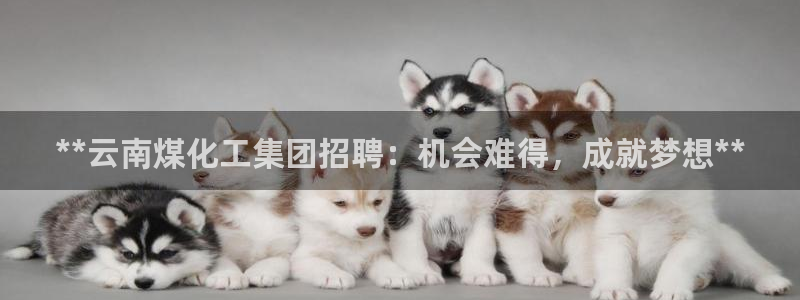 球盟会网页版登陆：**云南煤化工集团招聘：机会难得，成就梦想