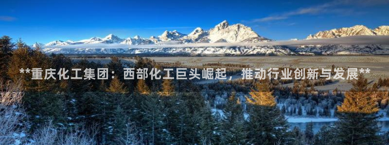 球盟会官网网页版