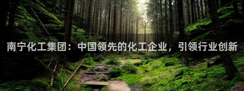 球盟会类似的网站