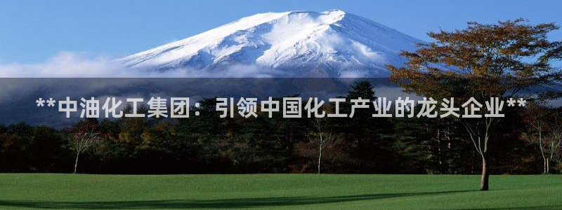 球盟会官方网入口
