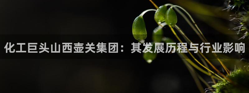 球盟会官方网站入口