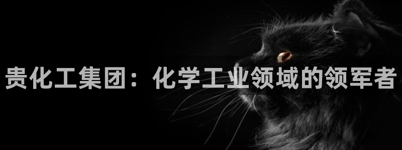 球盟会类似的网站