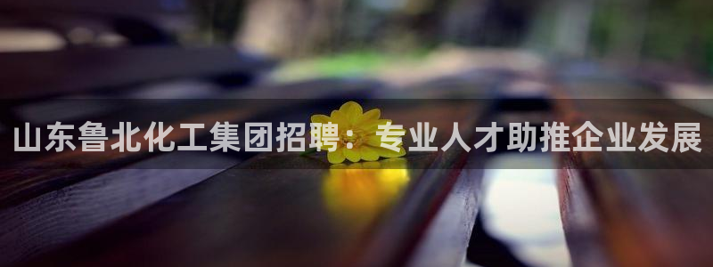 球盟会平台会黑单吗：山东鲁北化工集团招聘：专业人才助推企业发