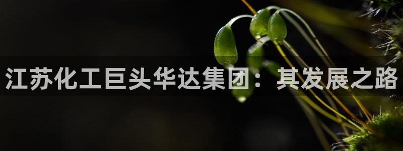 球盟会app最新地址在哪看
