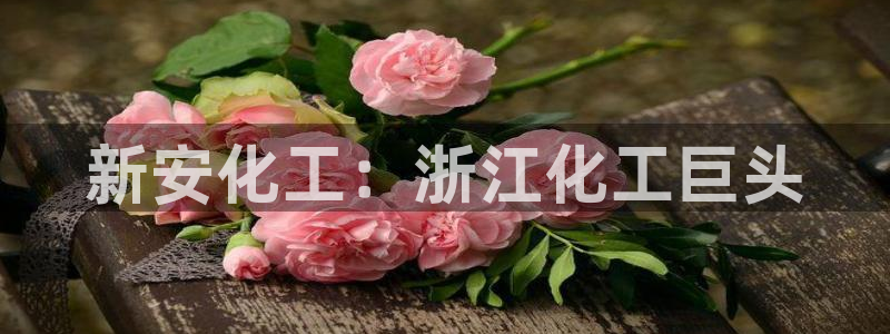 球盟会app最新地址在哪找：新安化工：浙江化工巨头