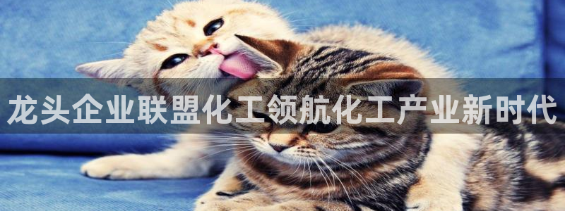 球盟会黑