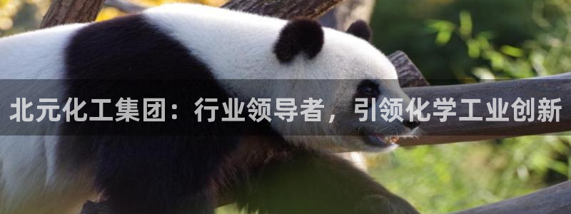 球盟会体验金：北元化工集团：行业领导者，引领化学工业创新