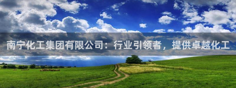 球盟会黑：南宁化工集团有限公司：行业引领者，提供卓越化工