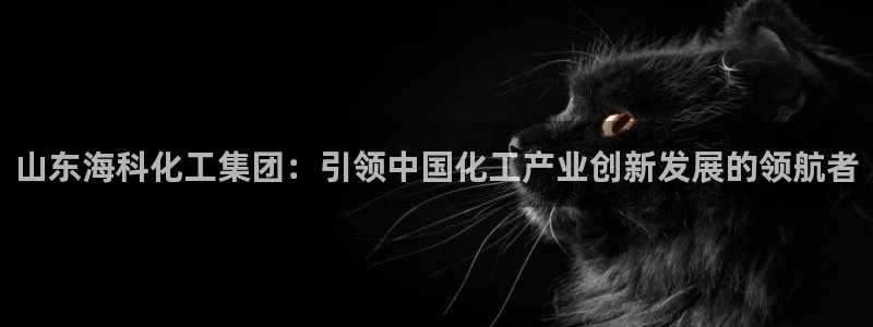 球盟会综合体育平台怎么样：山东海科化工集团：引领中国化工产业