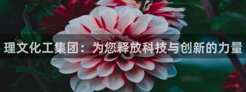 球盟会里面有打牌的嘛