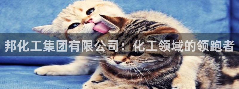 球盟会app最新地址在哪里
