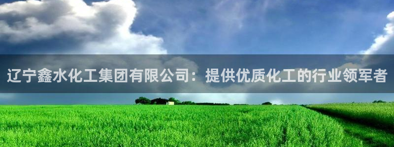 球盟会福利码2023最简单三个步骤：辽宁鑫水化工集团有限公司