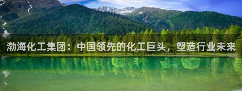 球盟会体育平台：渤海化工集团：中国领先的化工巨头，塑造行业未