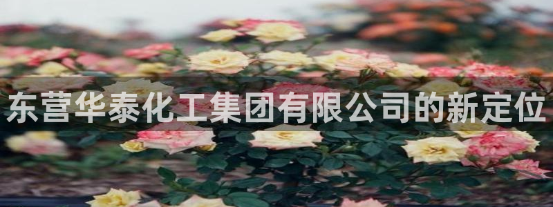 球盟会app网址多少号：东营华泰化工集团有限公司的新定位