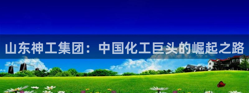 球盟会用的客服聊天是哪个软件