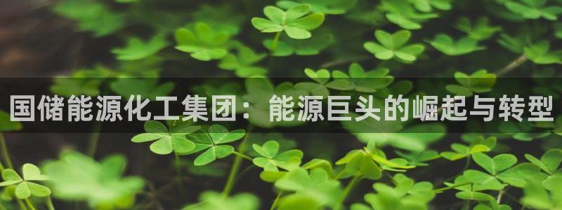 球盟会里面有打牌的嘛