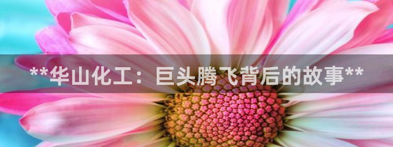 球盟会里面有打牌的嘛知乎