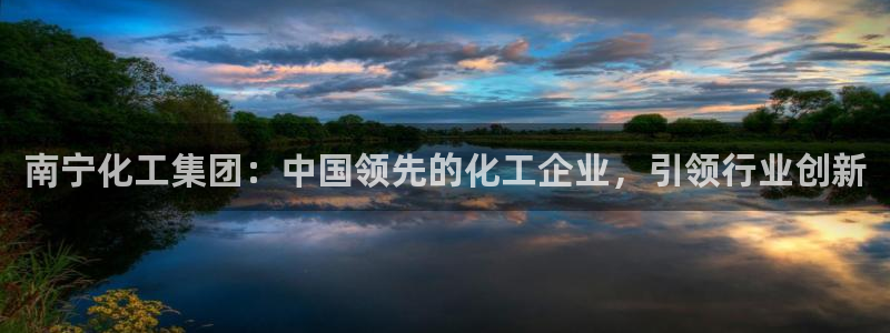 球盟会入口