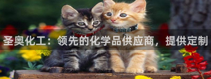 球盟会在线网站