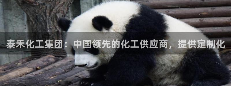 球盟会综合体育平台怎么样