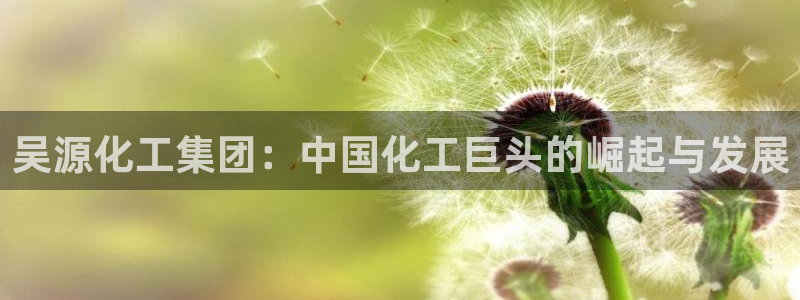 球盟会地址