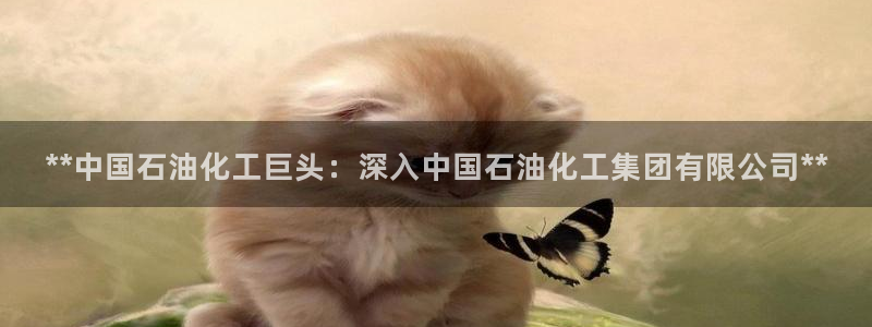 球盟会体育app官方网站：**中国石油化工巨头：深入中国石油