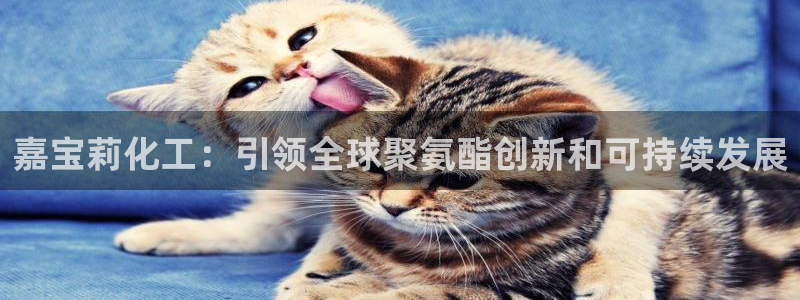 球盟会能退钱吗是真的吗