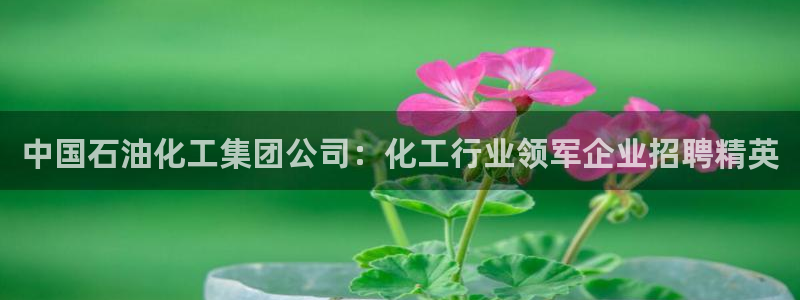 球盟会登陆入口：中国石油化工集团公司：化工行业领军企业招聘精
