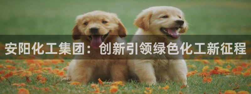 球盟会进不去