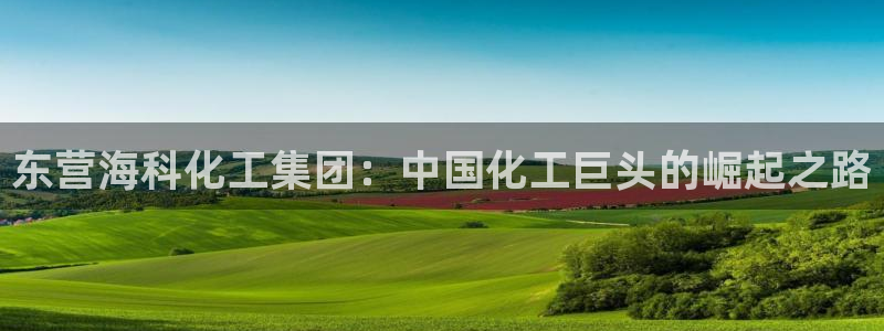 球盟会进不去