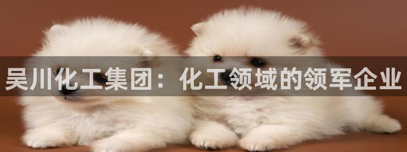 球盟会官方