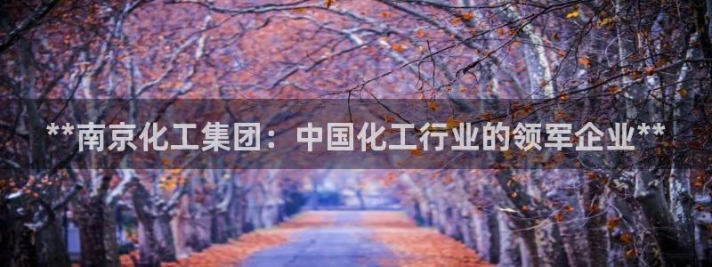 球盟会官方下载