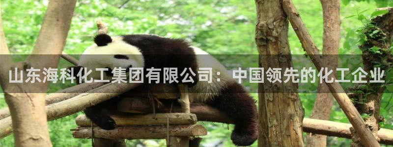 球盟会手机网页版