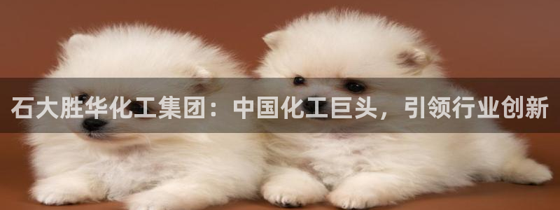 球盟会几点玩合适