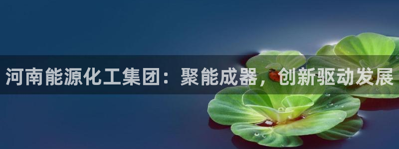 球盟会可以提现么现在